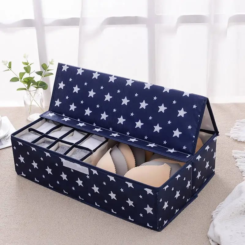 3in1  Undergarment Organizer