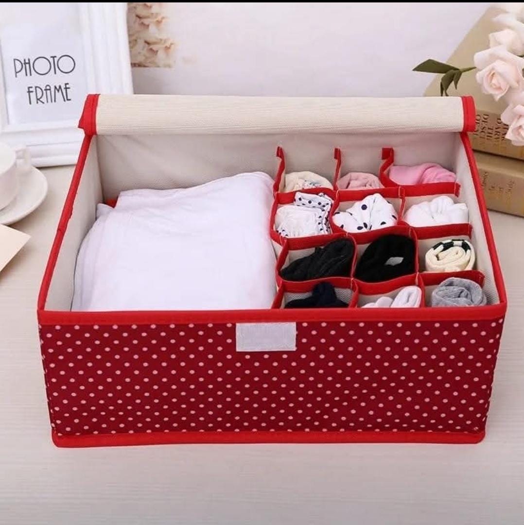 3in1 Undergarments Organizer