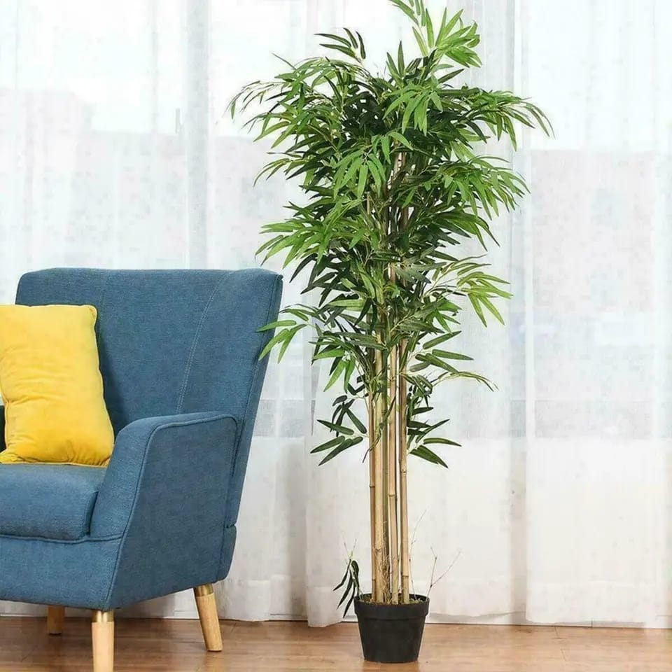 potted  bamboo house tree