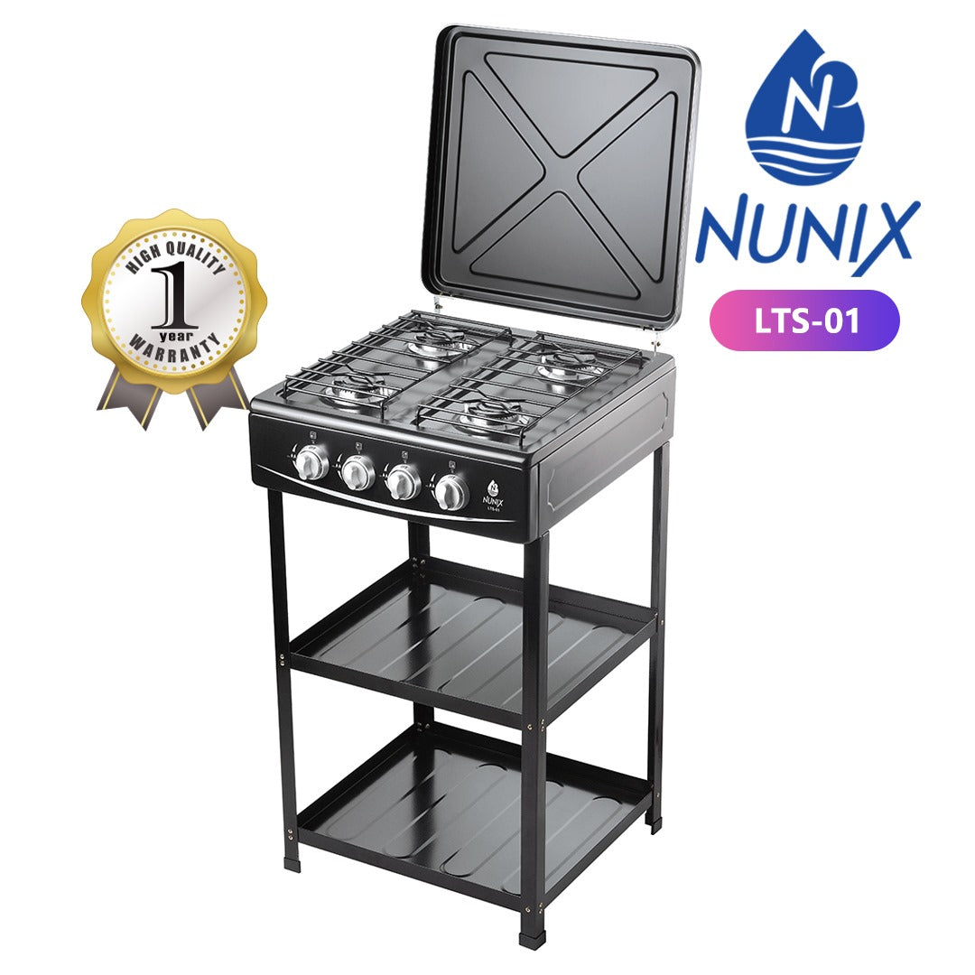 Gas stand cooker