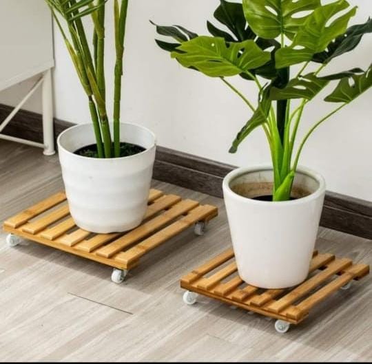 Plant base stand