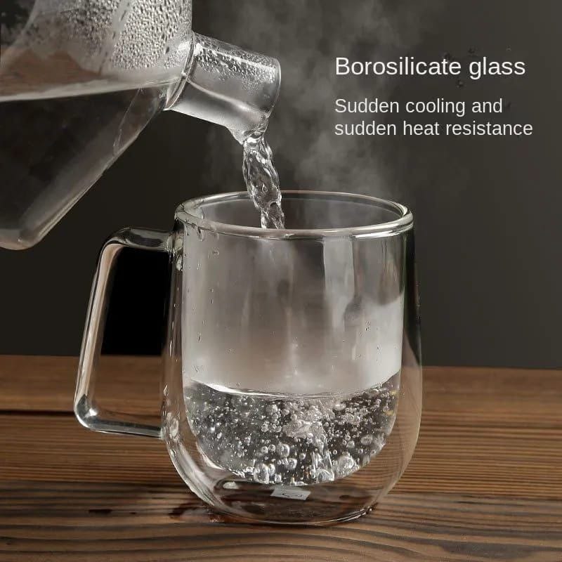 Borosilicate Double Walled mug