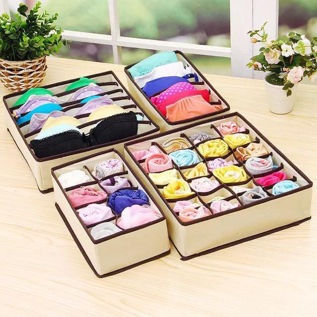 4in 1 undergarment organizer
