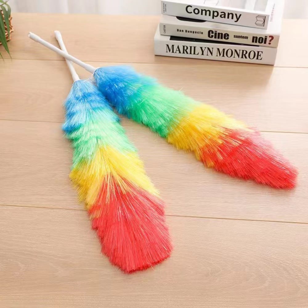 Rainbow duster