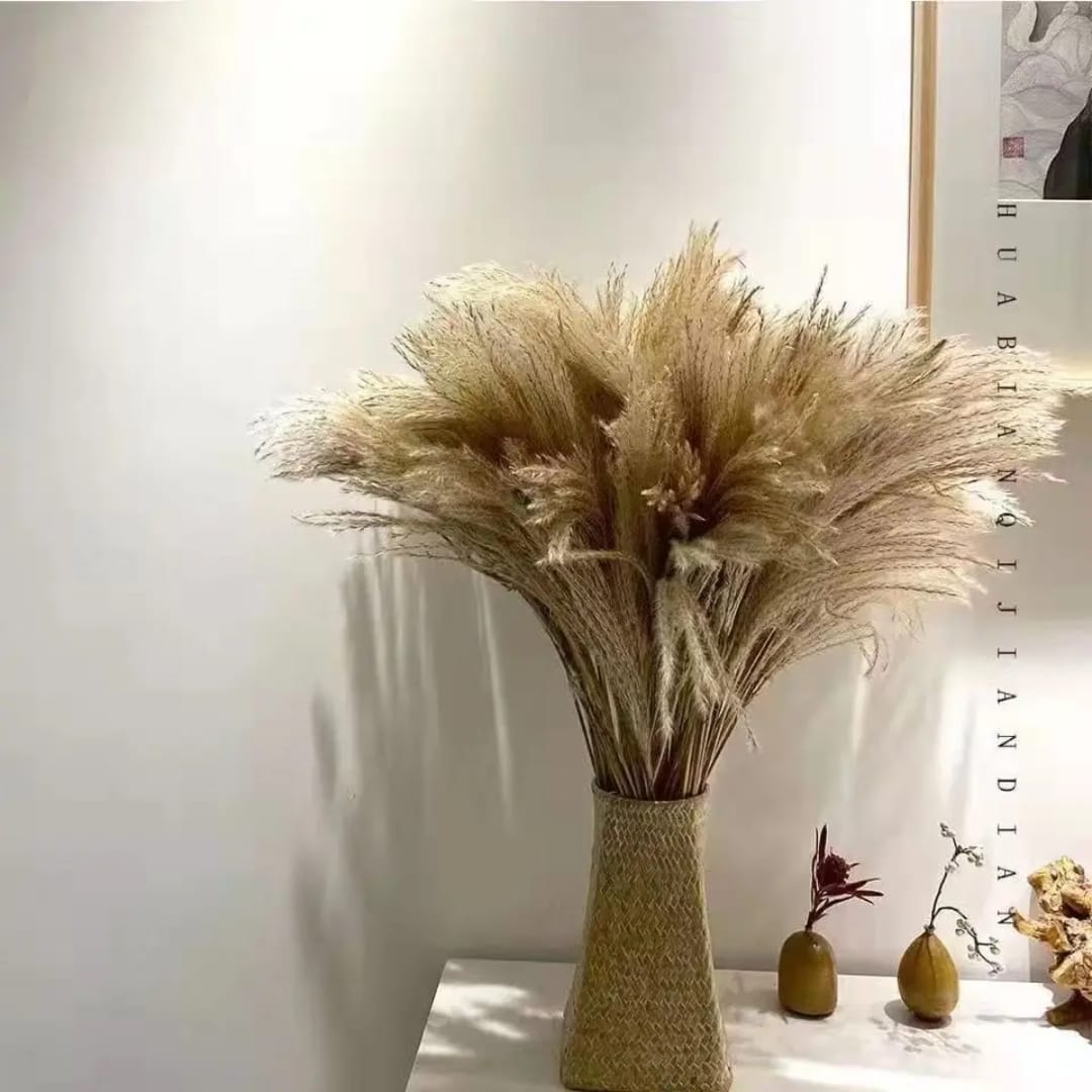 Natural Dried Reed Decorative Mini Pampas Grass