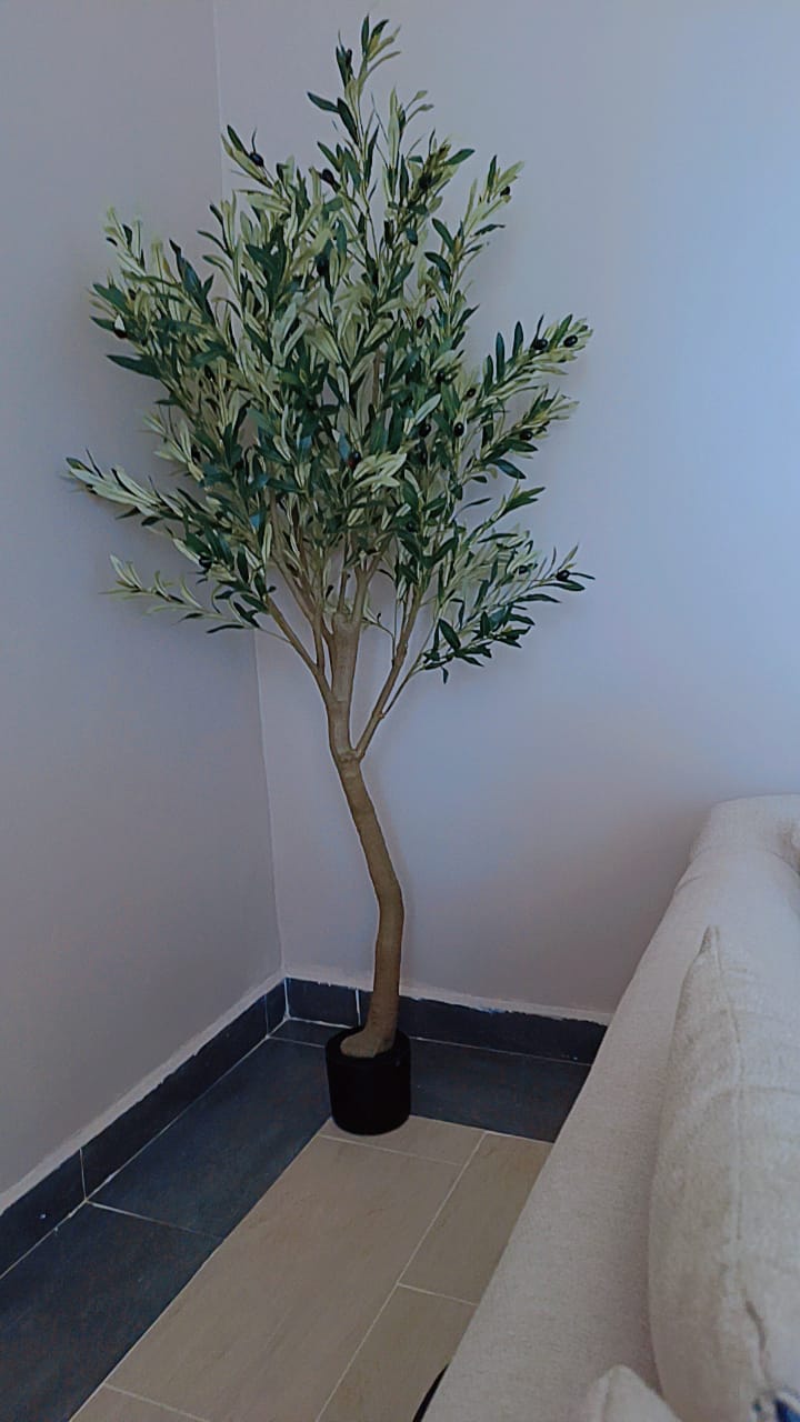 New Design Decorative Artificial Olive Plant