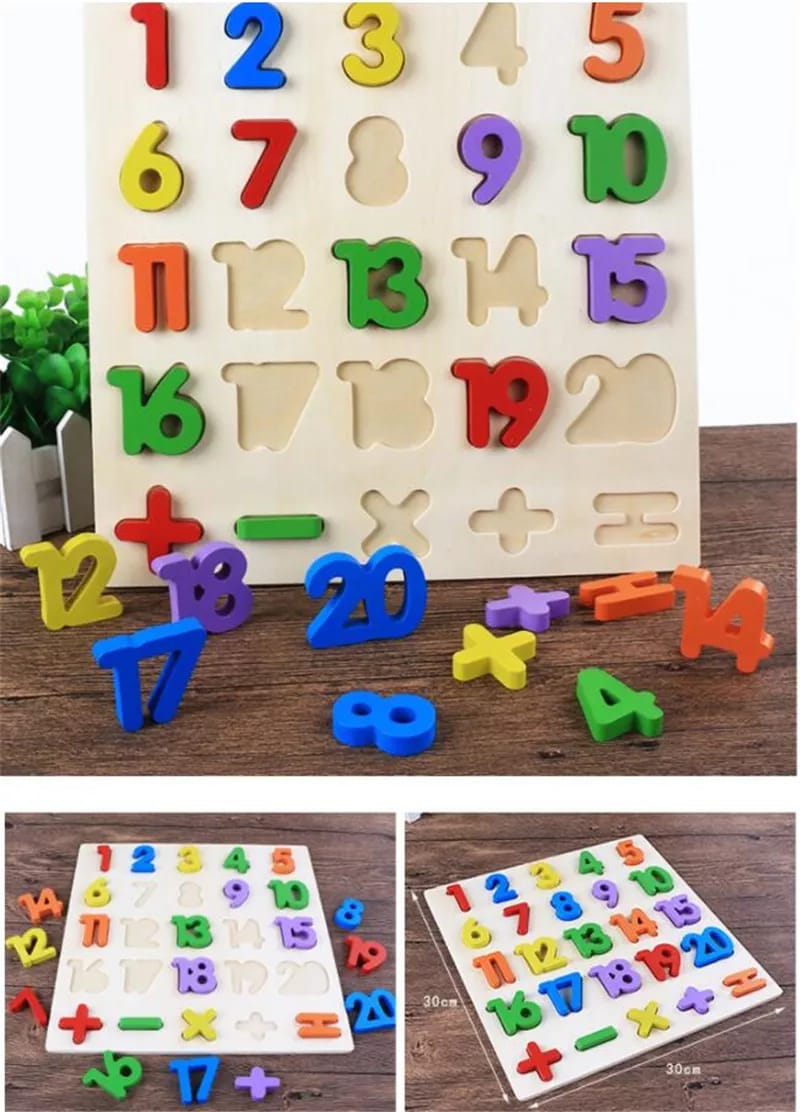 Montessori educational wooden toy