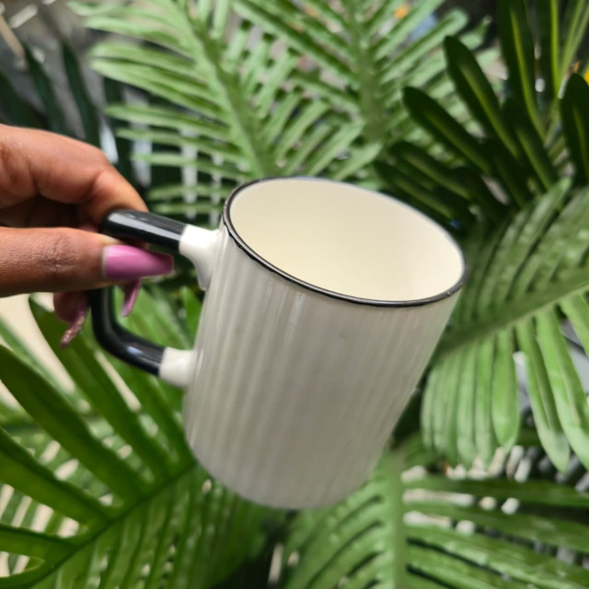 6pc Mugs whith black handle