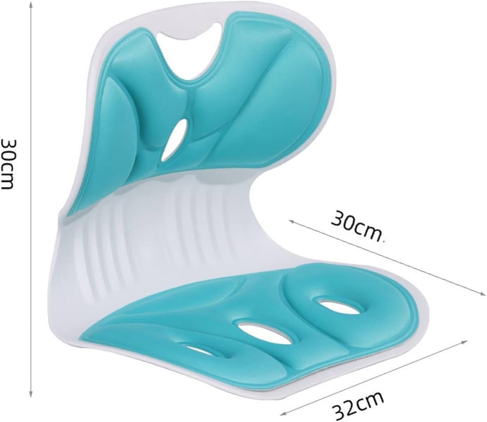 Ergonomic* back support